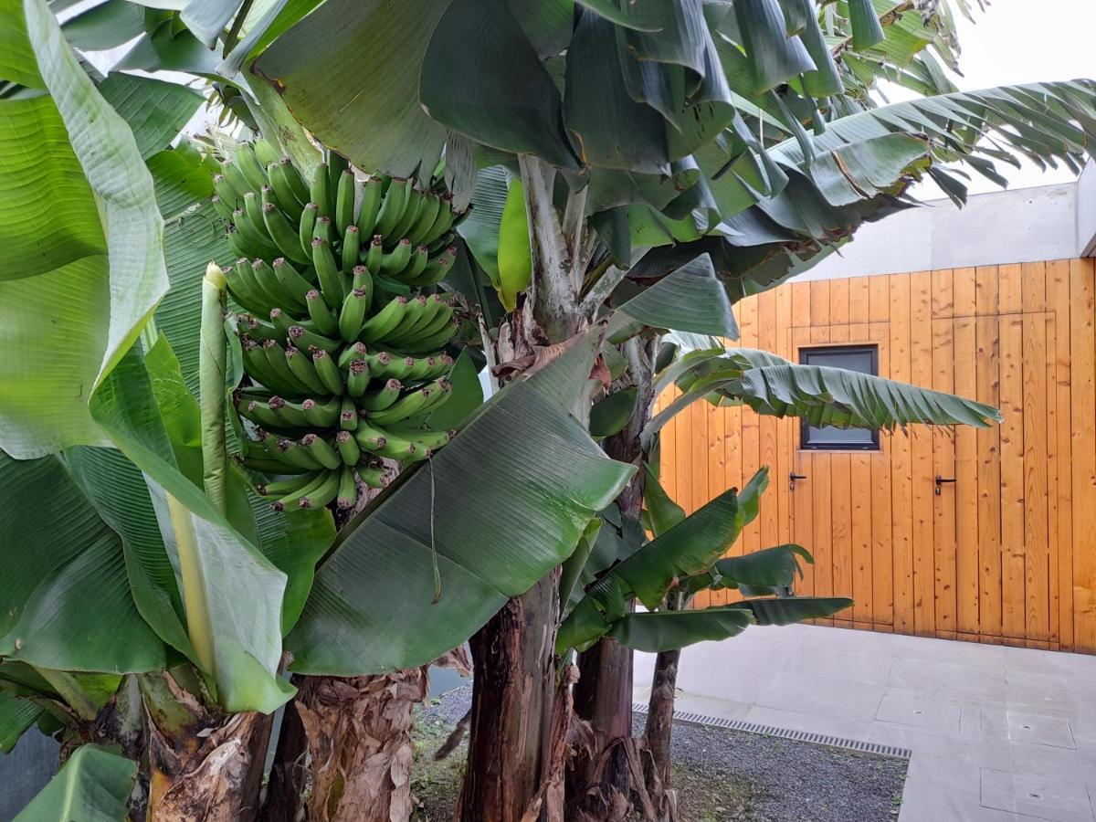 Populo'S Place Ponta Delgada  Ngoại thất bức ảnh